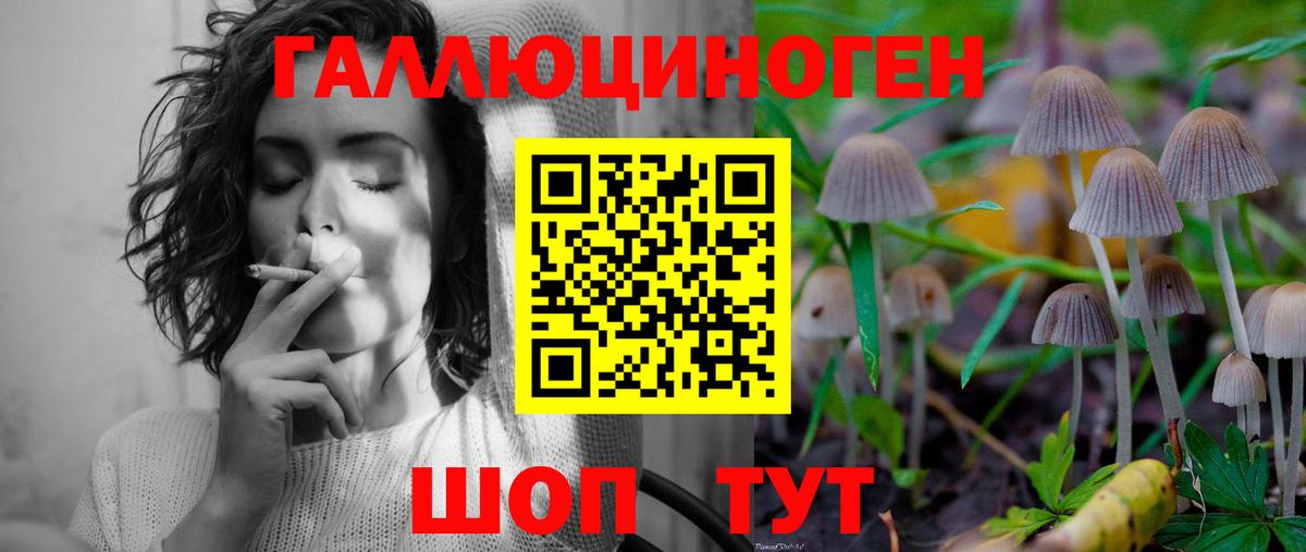 Галлюциногенные грибы Cubensis Элиста